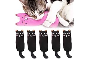 EBIEFLY 5Pcs Pet Cat Toy Contains Mint Pure Cotton Fabric for Tooth Grinding, Durable Removal, Clean Tooth Brushing, Cute Cat Mouse Shaped Gift (Black)
