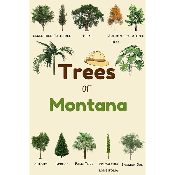 North American Trees Names