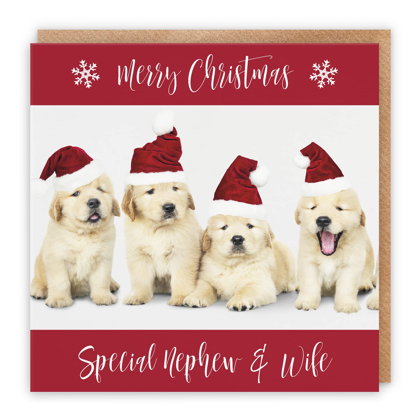 Hunts England - Nephew And Wife Christmas Card - Special Nephew & Wife - Puppy Collection - Fun Xmas Card