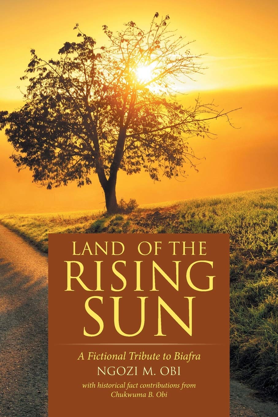 Land Of The Rising Sun Obi Ngozi M 9781524688158 Amazon Com Books - roblox the land of the rising sun