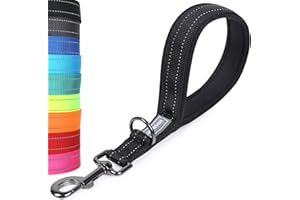 VIVAGLORY Short Dog Leash Closelyt Traffic Leash for Dog with Soft Padded Handle for Training & Walking, Padded Neoprene & He