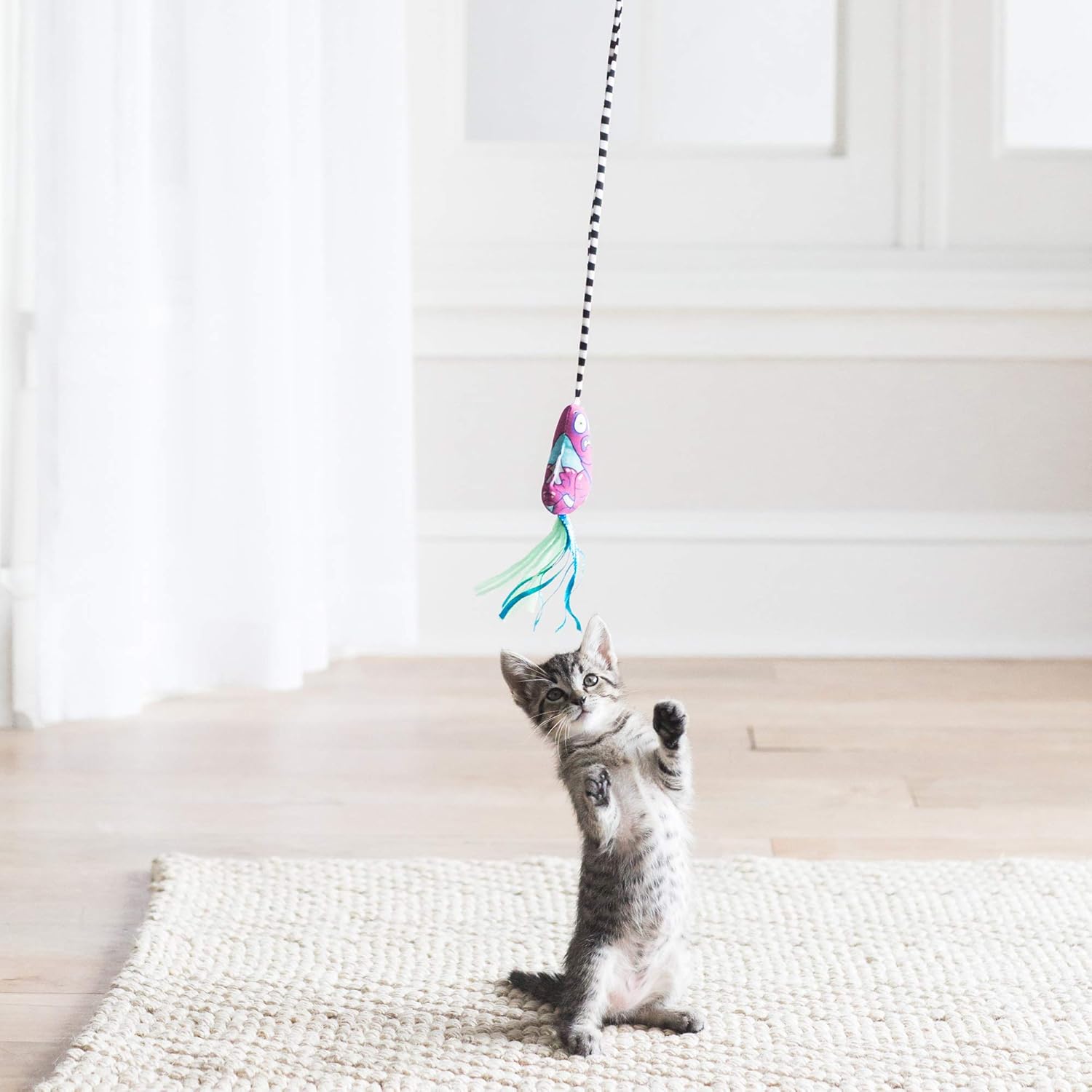 Petmate Fat Cat Catfisher Teasers Cat Toy, Tadpole Wand : Pet Supplies
