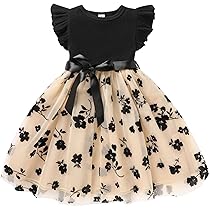 Amazon.com: Sinhoon Toddler Girl Tulle Dress Summer Ruffle