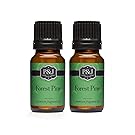 Forest Pine Fragrance Oil - Premium Grade Scented Oil - 10ml - 2-Pack