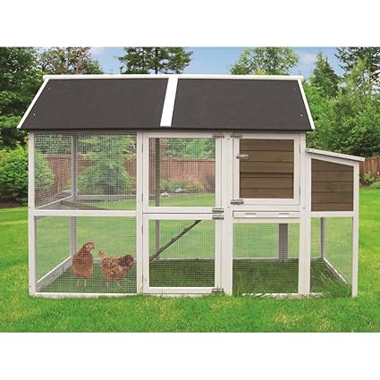 Coops Feathers X Large Superior Chicken Coop