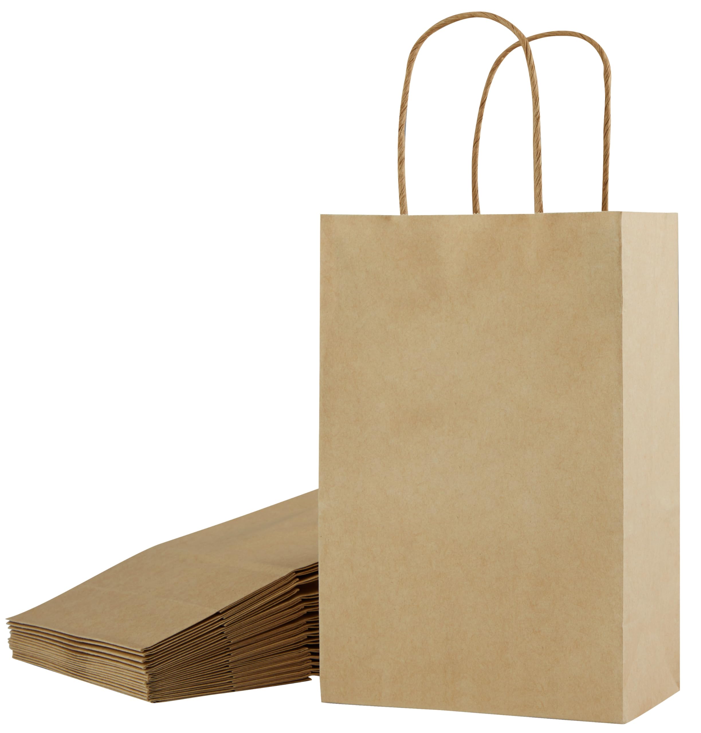 SUNCOLOR 24 Pieces 8" Brown Paper Bags Small Gift
