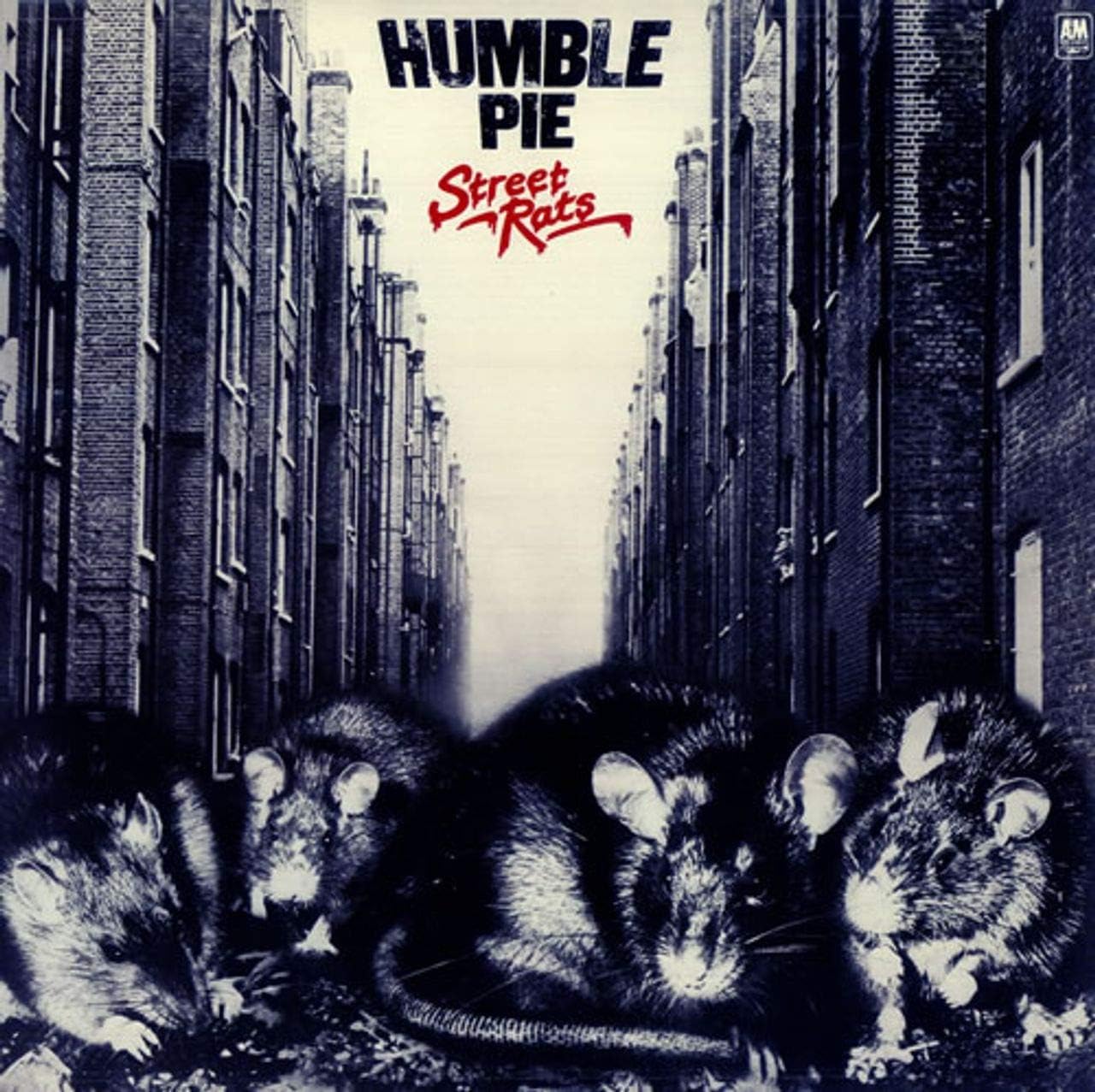 Street Rats Humble Pie Amazon.ca Music