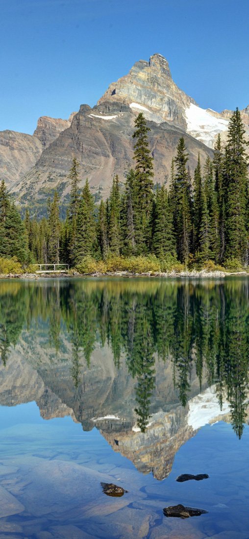 PeelitStickit, Beautiful Nature Wall Murals, ID-2851, vinyl