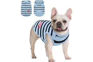 Queenmore Small Dog Shirt,Soft Breathable Dog Shirt for Dogs Cats Boy Girl,Pet Clothes for All Season,Breathable Lightweight Pet Tshirt for Frenchie, Dachshund, Yorkie