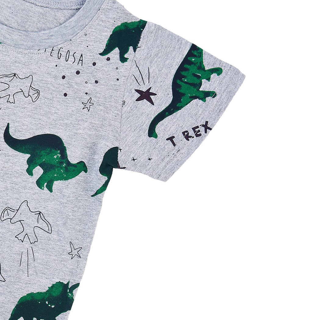 DDSOL Little Boys Toddler Jurassic Dinosaur T Short Sleeve Tee Cartoon T Shirt