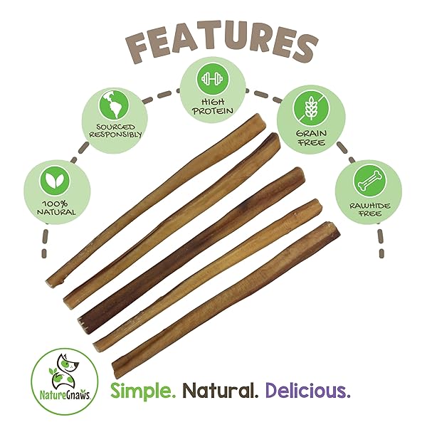 NATURE GNAWS LARGE BULLY STICKS FOR DOGS 11-12″ (5 COUNT) – THICK LONG LASTING FOR AGGRESSIVE CHEWERS AND LARGE DOGS – NATURAL BEEF DOG CHEW BONES