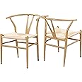Yaheetech Metal Weave Arm Chair Y-Shaped Backrest Mid-Century Metal Dining Chair Hemp Seat Set of 2, Metal