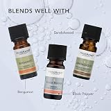 Tisserand Frankincense Essential Oil 9ml Wild Crafted Aromatherapy Oil view 5
