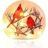 Wonder Solar Christmas Crackle Glass Ball Lights Cardinal Decorations Indoor Crackle Glass LED Lighted Holiday Ball Lamp Night Lights for Christmas Holidays Seasonal Decor Lighting Decorations Indoor