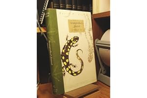 Swampwalker's Journal