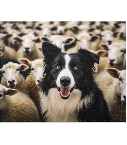 Amazon.com: Border Collie Puppy 500 Piece Jigsaw Puzzle for Adults
