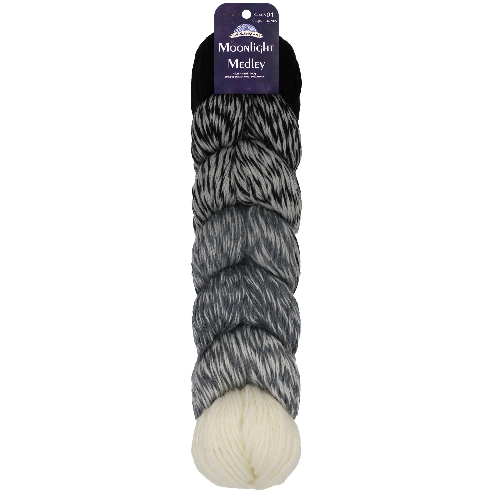 JubileeYarn Moonlight Medley Yarn - Ombre DK Weight Merino Wool/Acrylic - 200g/Hank - Scorpius - 1 Skein