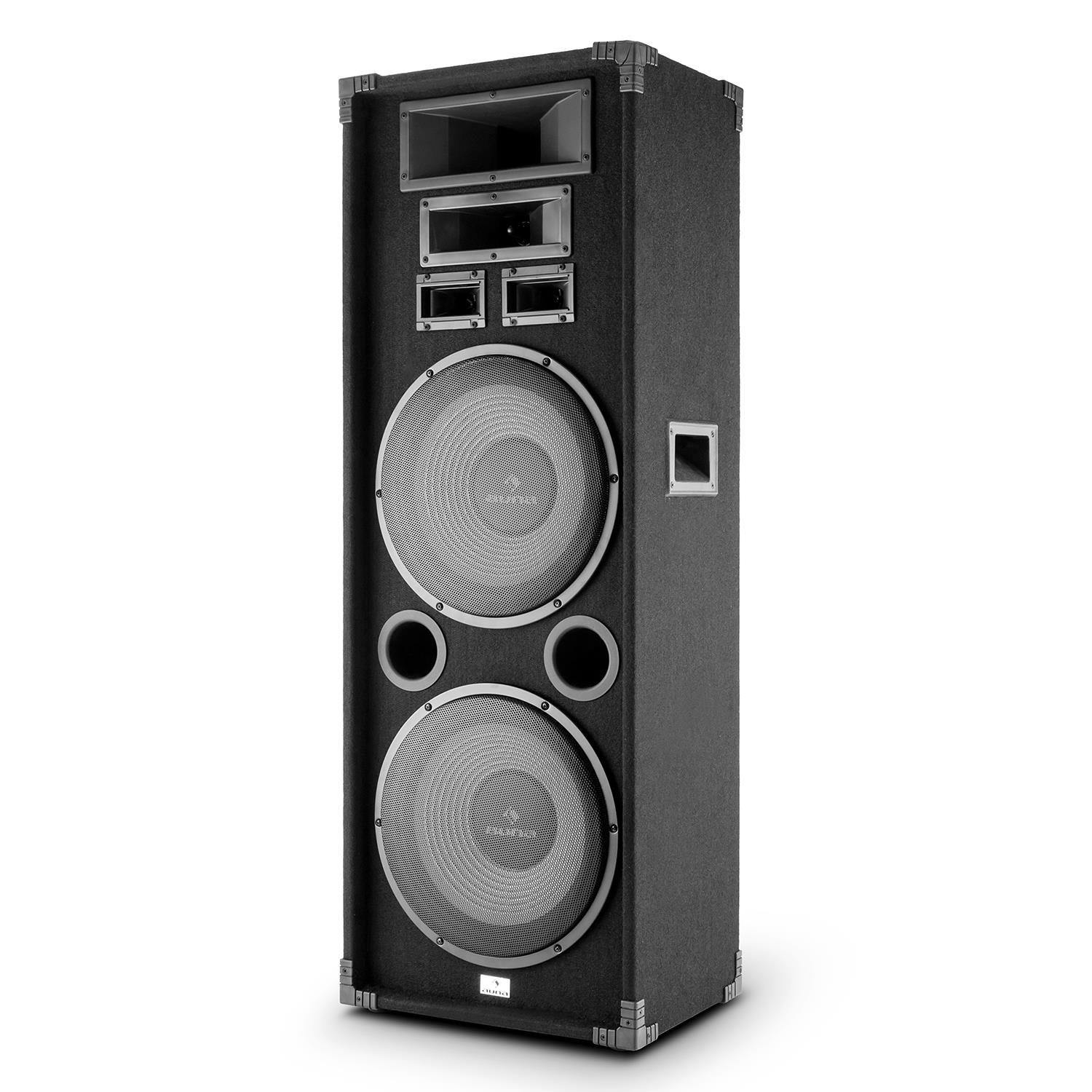auna pa speakers