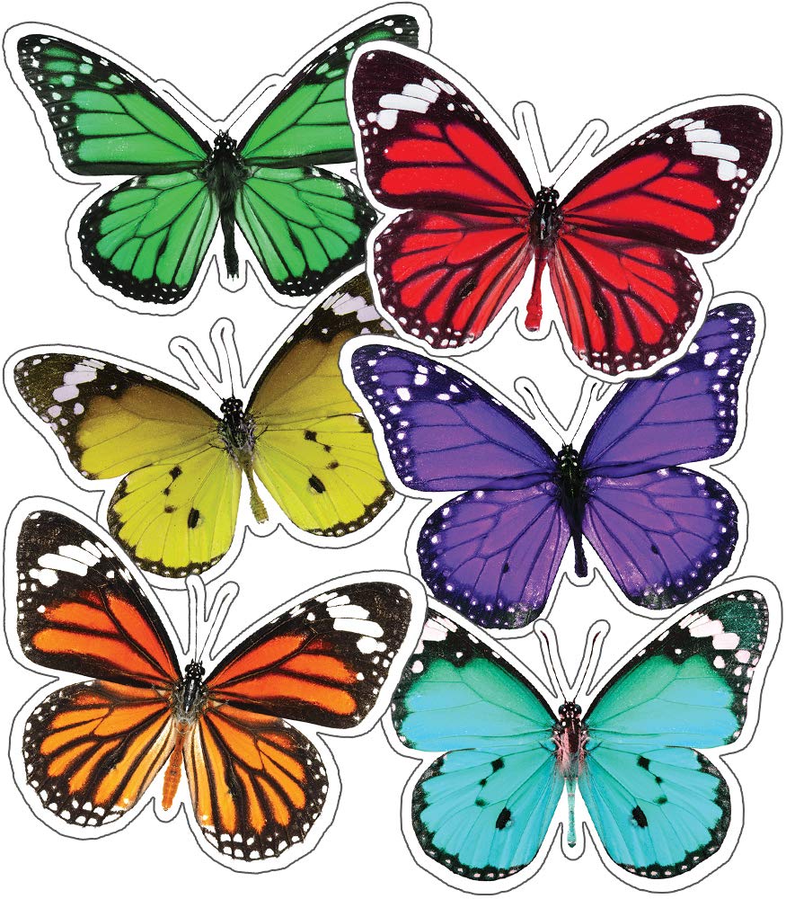 schoolgirl style woodland whimsy butterflies colorful cut outs classroom decor 36 pieces ralbusky melanie 9781483851761 amazon com office products