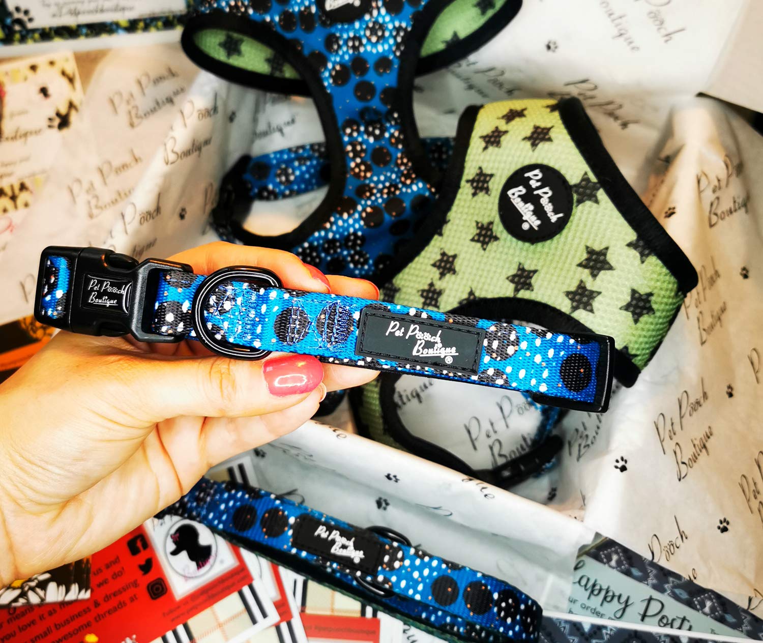 Pet Pooch Boutique Royal Rock Star Dog Collar, Medium, 0.3 kg