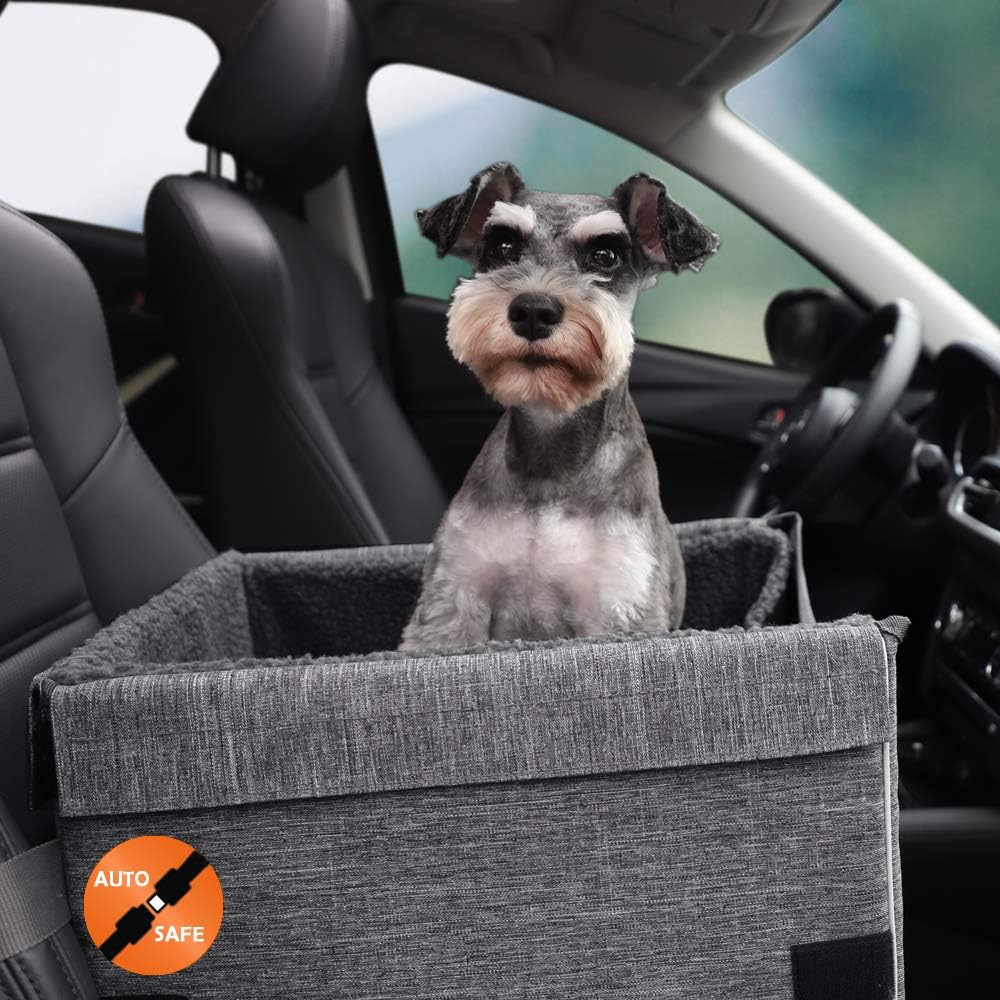 Best solvit dog booster seat