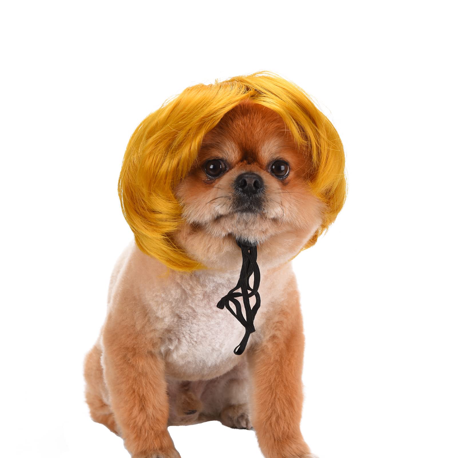 Funny Dog and Cat Wig for Halloween, Christmas, Parties, Festivals - Pet Role Play Costume for Small, Medium and Large Dogs (Yellow)