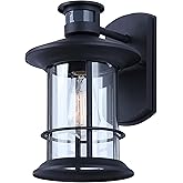 Dakota 1-Light Outdoor Wall Lantern, Black with Clear Glass, Motion Sensor/Photocell, Dusk to Dawn, Lighting for Patio, Entry