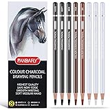PANDAFLY Professional Colour Charcoal Pencils Drawing Set, 8 Pieces Pastel Chalk Pencils for Sketching, Shading, Blending, Po