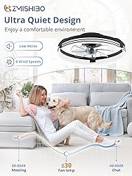 ZMISHIBO Low Profile Ceiling Fans with Lights and