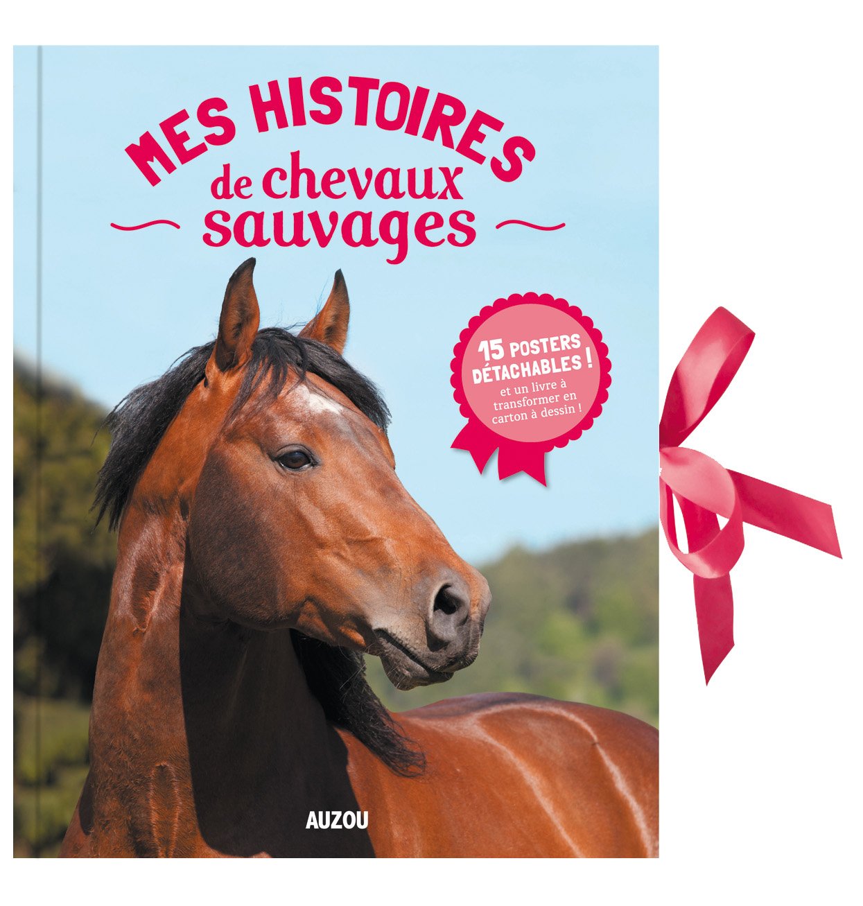 Mes Histoires De Chevaux Sauvages Livre Posters Divers Albums Feret Fleury M Amazon Com Books