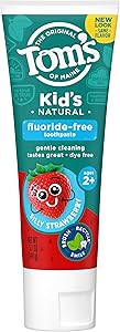 Tom's of Maine Natural Kid's Fluoride Free Toothpaste, Silly Strawberry, 5.1 oz. (Back in original formula)