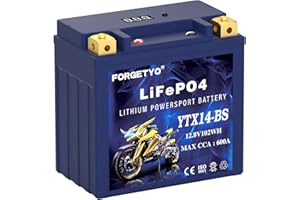 FORGETYO YTX14-BS Lithium Motorcycle Battery, ATV Battery 12V 8AH 600CCA Compatible with Yamaha Scooter Snowmobile Jet Ski, Scooter, PWC & More
