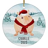 Santa Hat and Scarf Welcome Winter Orange Gerbil