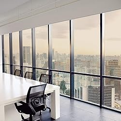 WPCTEV One Way Mirror Window Film Daytime Privacy