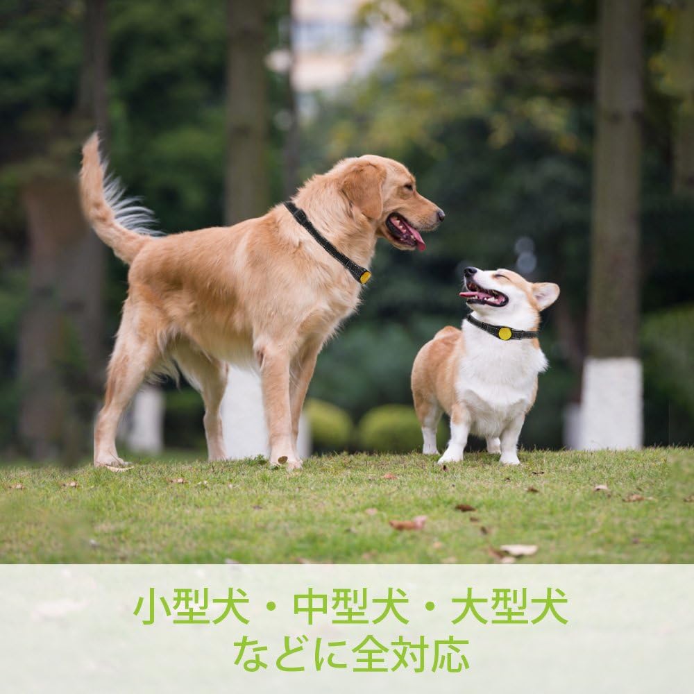 Amazon Cozzine しつけ用首輪 無駄吠え防止 Ipx7防水 充電式リモートコントロール ペット トレーニングカラー Lcdディスプレー付き 1 8段階のバイブレーション 1 16段階の静電ショック調整可能 ビープ音 Ledライト付き 愛犬訓練用 しつけ用品 300メートル通信可能 全