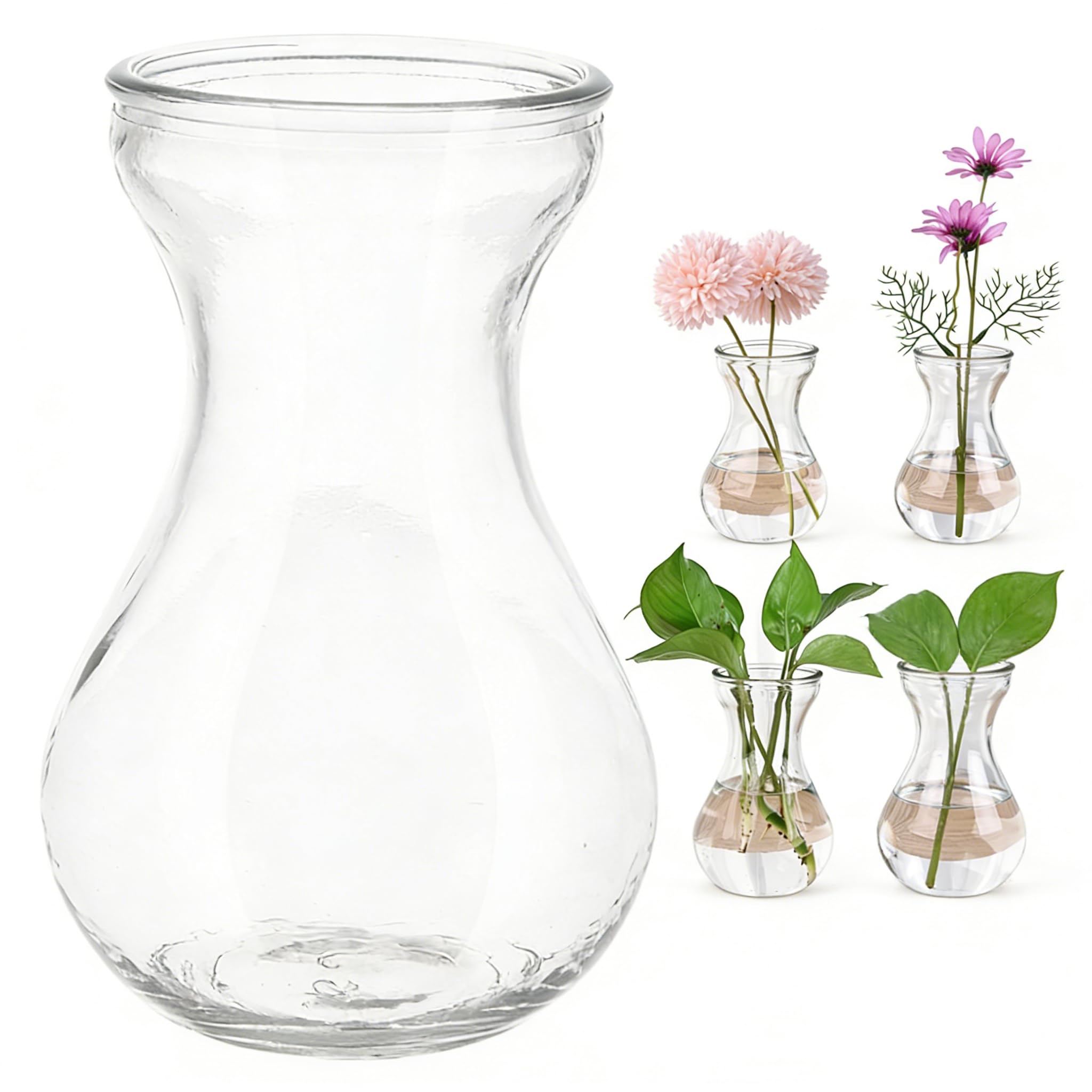 Alipis Glass Hyacinth Bulb Vase Set of 5 Clear Small Desktop for Indoor Plants Hydroponic Flower Vases Table Centerpiece Home Office Decoration