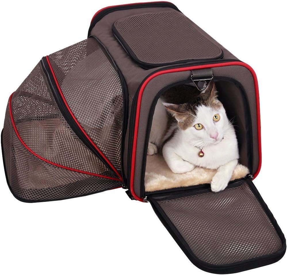 Trasportino Pieghevole Per Gatti E Cani – Borsa Da Viaggio Espandibile, Tracolla, Rete Ventilata, Cuscino Lavabile – Taglia S, Colore Blu