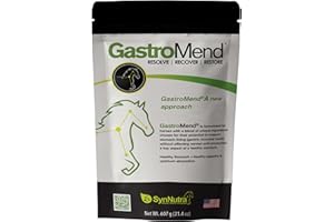GastroMend® Gastrointestinal Health Supplement for Horses, 100% Natural, Promotes Stomach and Gut Health in Equines, Cost-Eff