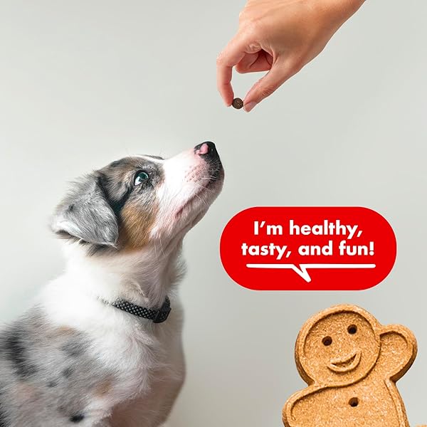 BUDDY BISCUITS TRAINERS TRAINING BITES SOFT & CHEWY DOG TREATS, BEEF, 10 OZ. BAG