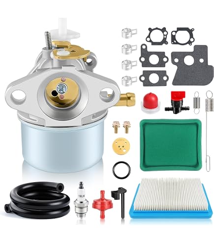 Amazon.com: For 274896 Carburetor For Briggs & Stratton Single