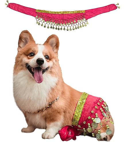 Jupe De Danse Du Ventre Pour Chiens, Costume Drôle De