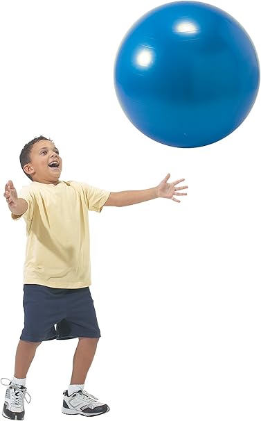 26 inch exercise ball