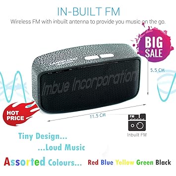 portable speaker with pendrive support