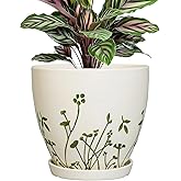 MPotTo Ceramic Plant Pot 6.8 Inch - Indoor Flower Pot with Drainage Hole and Saucer, Decorative Boho Round Outdoor Indoor Planter, Plant Lover Gifts, Office Home Garden House Decor, White