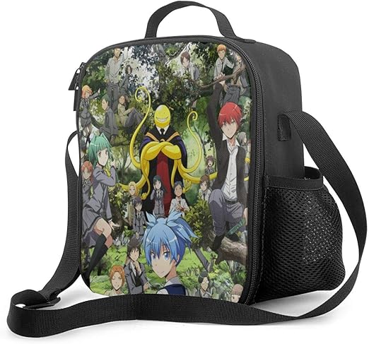insulated lunch box for school