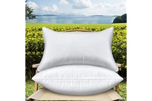QSWRD 12 x 20 Outdoor Throw Pillow Inserts Set of 2 Waterproof Rectangle Lumbar Premium Decorative Couch Pillow Inserts Stuffers Form Small White Sofa Cushions Indoor