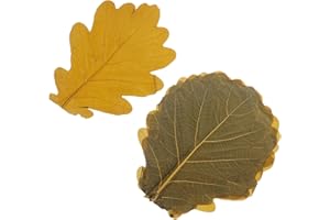 HAKIDZEL 20pcs Japanese Sashimi Plate Leaf Decor Natural Cedar Leaves for Sushi Presentation and Dessert