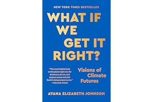 What If We Get It Right?: Visions of Climate Futures