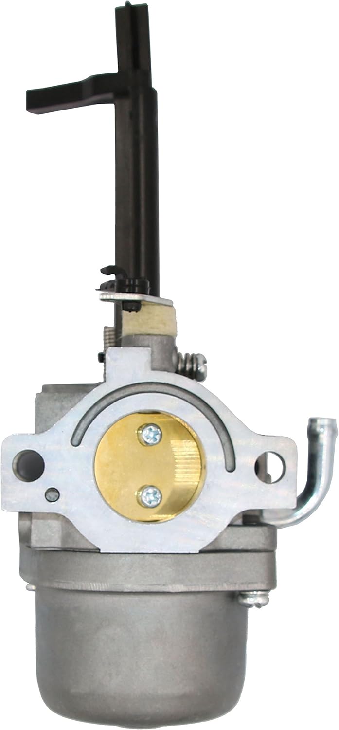 HOOAI 591378 Carburetor for Briggs & Stratton 697978 796321 696132 696133 796322 697351 699958 699966 698455 695918 694952 695919 695330 796323 695920 695328 : Garden & Outdoor