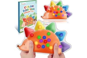 ZAXIDEEL Color Sorting Sensory Toys for Toddlers : Fine Motor Skill Games Learning Toy for Toddlers, Color Matching Preschool Activities Educational Calm Down Montessori Toys for Kids Boy Girl Gifts Ages 3+